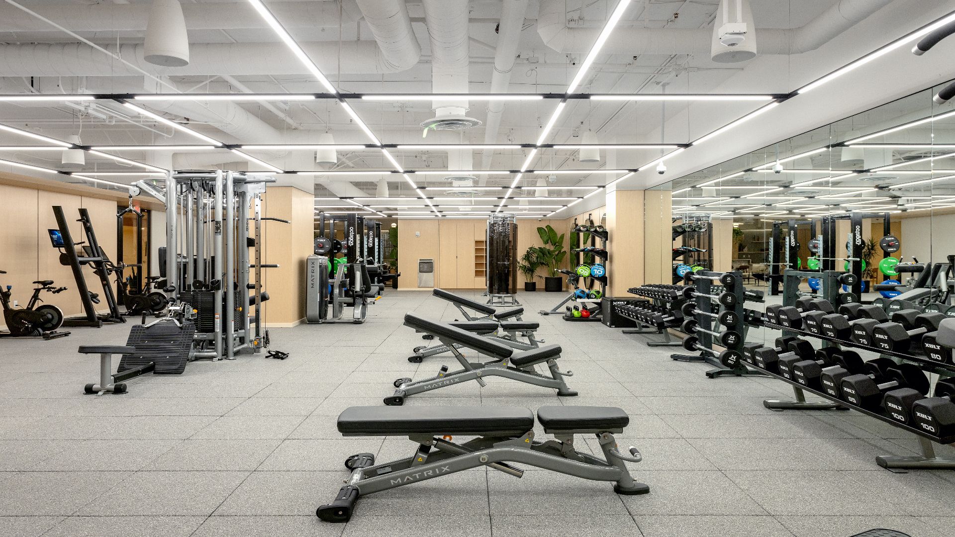 verdosa_int_fitness_center